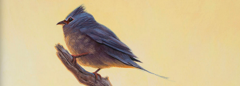 Artist’s impression of Tsidiiyazhi abini. (Image: Sean Murtha)